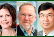 Nobel 2025: Un paso hacia medicamentos que enseñan al cuerpo a no atacarse